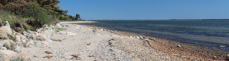 Klart badvatten vid stranden i sommarstugeområdet Sillerslev Klart badvatten vid stranden i sommarstugeområdet Sillerslev