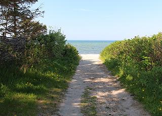 Gångstig mellan sommarstugorna till stranden i fritidsområdet Skåstrup Gångstig mellan sommarstugorna till stranden i fritidsområdet Skåstrup