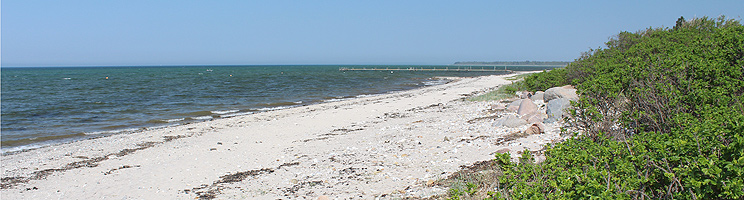 Fin sandstrand med lång badbrygga i sommarstugeområdet Skåstrup Fin sandstrand med lång badbrygga i sommarstugeområdet Skåstrup