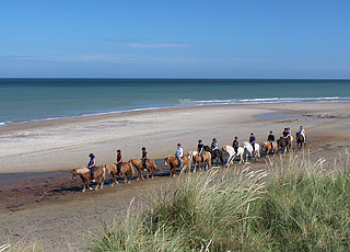Ausritt auf Islandpferden am Strand von Skallerup Ausritt auf Islandpferden am Strand von Skallerup