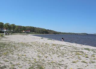 Der breite Sandstrand am Jachthafen von Skive Der breite Sandstrand am Jachthafen von Skive