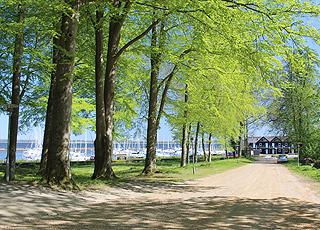 Schöner Wald hinter den Ferienwohnungen und dem Jachthafen in Skive Schöner Wald hinter den Ferienwohnungen und dem Jachthafen in Skive