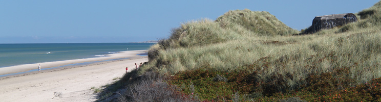 Der breite Sandstrand mit den hohen, grünen Dünen in Skiveren bei Skagen Der breite Sandstrand mit den hohen, grünen Dünen in Skiveren bei Skagen