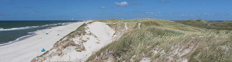 View of the beach and the hilly dune area in Skodbjerge View of the beach and the hilly dune area in Skodbjerge