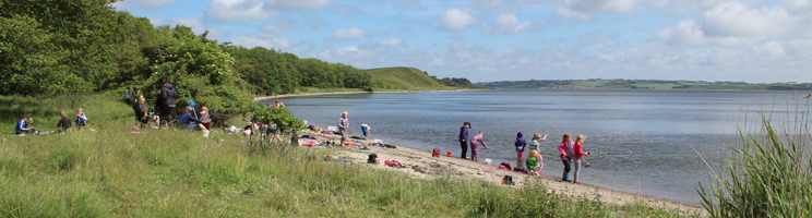 Children play on the beach below the nature area Skyum Bjerge Children play on the beach below the nature area Skyum Bjerge
