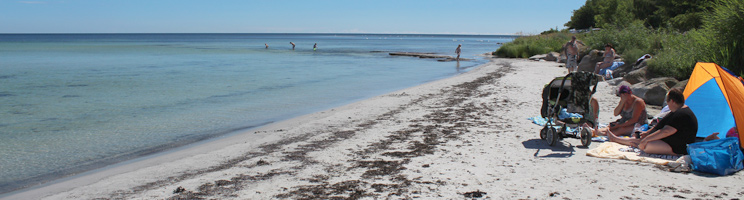 Ein Sommertag am schönen Badestrand mit seichtem, kinderfreundlichem Wasser in Snogebæk Ein Sommertag am schönen Badestrand mit seichtem, kinderfreundlichem Wasser in Snogebæk