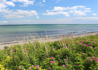 Udsigt til stranden og havet i sommerhusområdet Spodsbjerg Udsigt til stranden og havet i sommerhusområdet Spodsbjerg