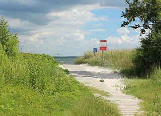 Sti til badestranden i ferieområdet Spodsbjerg på Langeland Sti til badestranden i ferieområdet Spodsbjerg på Langeland