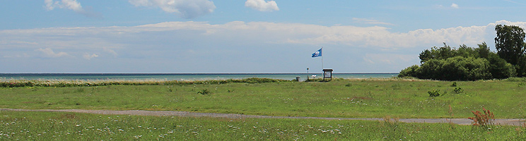 Grønt område mellem sommerhusene og stranden med blåt flag i Spodsbjerg Grønt område mellem sommerhusene og stranden med blåt flag i Spodsbjerg