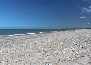 The bathing beach in Thorup Strand The bathing beach in Thorup Strand