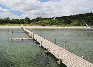 Utsikt över stranden och skogen vid fritidsområdet Smørmosen på Thurø Utsikt över stranden och skogen vid fritidsområdet Smørmosen på Thurø