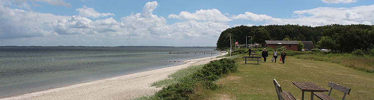 Skog och grönområden med sommarstugor bortom stranden vid Smørmosen på Thurø Skog och grönområden med sommarstugor bortom stranden vid Smørmosen på Thurø