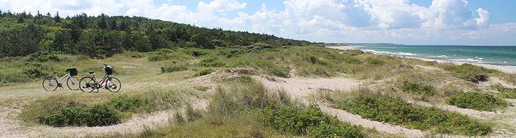 The scenic nature area, Tisvilde Hegn, behind the lovely bathing beach in the holiday area Tisvildeleje The scenic nature area, Tisvilde Hegn, behind the lovely bathing beach in the holiday area Tisvildeleje