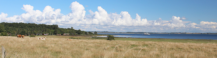 View of the Isefjord and the holiday homes in the edge of the forest in Udby View of the Isefjord and the holiday homes in the edge of the forest in Udby