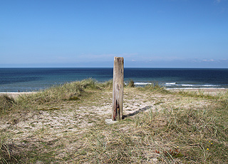 Udsigt over stranden og havet fra klitterne ved Vangså Udsigt over stranden og havet fra klitterne ved Vangså