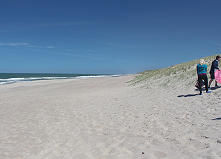 Vejlby Klit byder på en bred, hvid sandstrand med høje klitter Vejlby Klit byder på en bred, hvid sandstrand med høje klitter