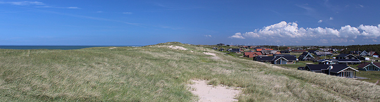 Sommerhusene i Vejlby Klit er beliggende lige bag strandens høje klitter Sommerhusene i Vejlby Klit er beliggende lige bag strandens høje klitter