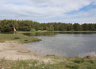 Cosy forest lake with a small sandy beach behind the North Sea beach in Vester Husby Cosy forest lake with a small sandy beach behind the North Sea beach in Vester Husby