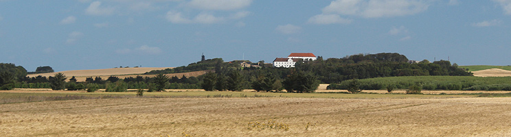 Børglum Kloster og Børglumkloster Mølle ligger lige bag Vrensted Børglum Kloster og Børglumkloster Mølle ligger lige bag Vrensted