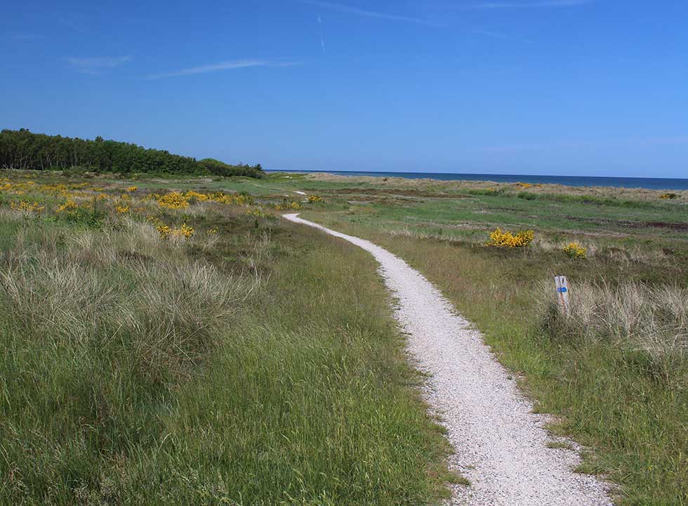 Hügelige Naturlandschaften mit einem Pfad, der die Badeorte verbindet, in Gjerrild @{image.image.text_1.text}.NoHtml()