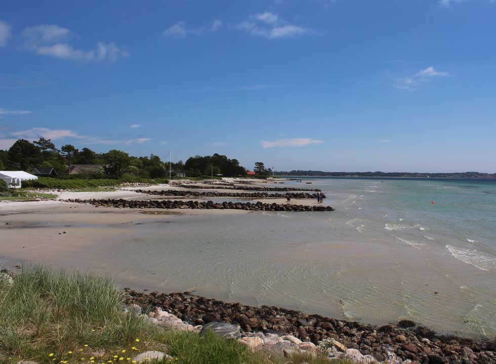 Sandstrand mit Buhnen und schönem Badewasser im Ferienhausgebiet Lyngsbæk @{image.image.text_1.text}.NoHtml()
