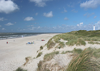 Dünenlandschaften und der Leuchtturm Blavandshuk Fyr hinter dem breiten Sandstrand von Blavand Dünenlandschaften und der Leuchtturm Blavandshuk Fyr hinter dem breiten Sandstrand von Blavand