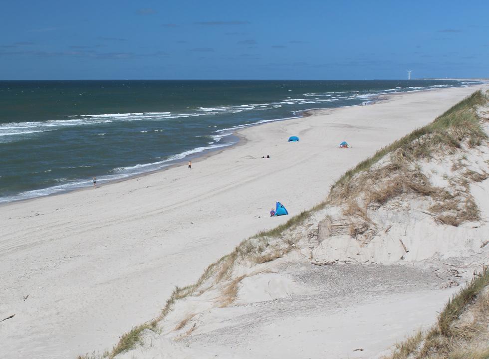 Den jyske vestkyst byder på dejlige sandstrande med klitter og klart badevand @{image.image.text_1.text}.NoHtml()