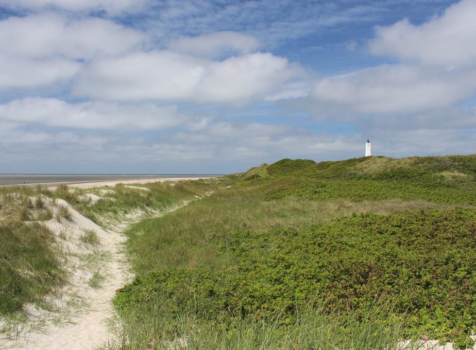 Klitlandskaber og Blåvandshuk Fyr bag den brede sandstrand i Blåvand @{image.image.text_1.text}.NoHtml()