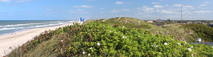 Sommerhuse bag de høje klitter og den brede sandstrand i badebyen Søndervig Sommerhuse bag de høje klitter og den brede sandstrand i badebyen Søndervig