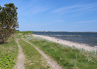 Ein typischer Limfjord-Strand bei dem Ferienhausgebiet Söndbjerg Ein typischer Limfjord-Strand bei dem Ferienhausgebiet Söndbjerg