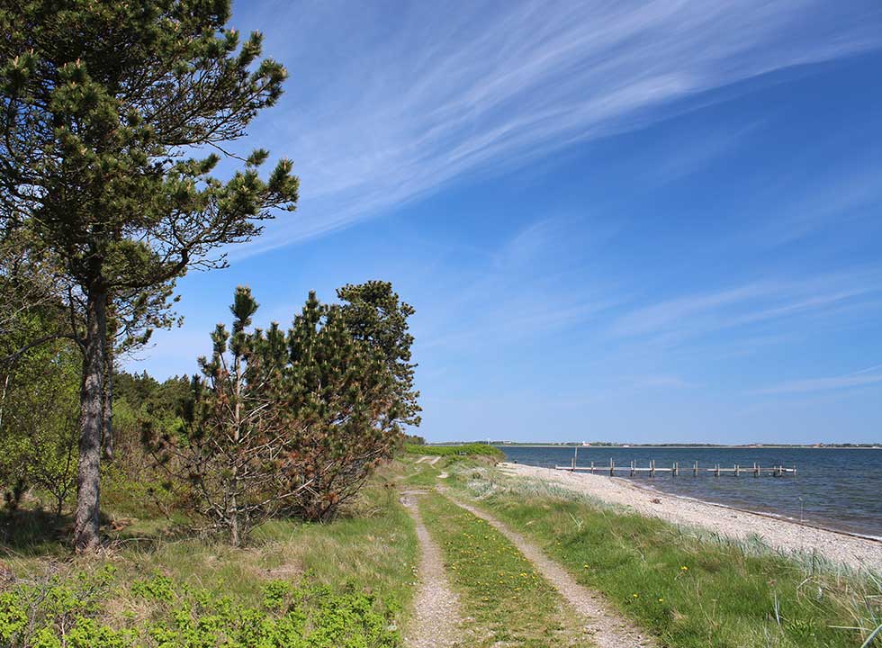 En typisk Limfjordsstrand ved sommerhusområdet Søndbjerg En typisk Limfjordsstrand ved sommerhusområdet Søndbjerg