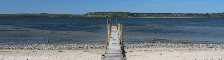 Schöner Strand mit Badesteg in Vile auf Salling mit Aussicht über die Halbinsel Mors Schöner Strand mit Badesteg in Vile auf Salling mit Aussicht über die Halbinsel Mors