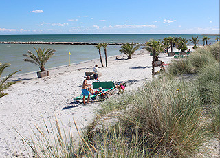 Ein Sommertag am Palmenstrand in Frederikshavn Ein Sommertag am Palmenstrand in Frederikshavn