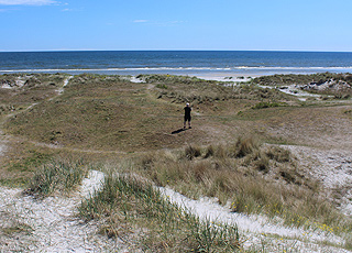 Hügelige Dünenlandschaft hinter dem Badestrand von Hou Hügelige Dünenlandschaft hinter dem Badestrand von Hou