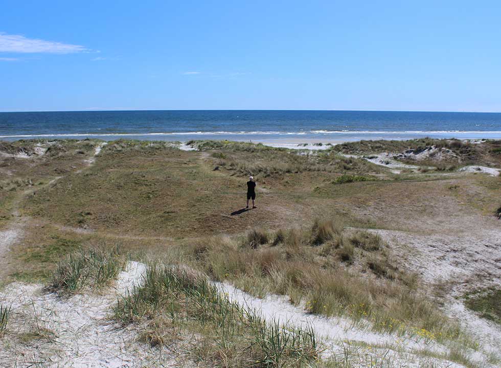 Kuperet klitlandskab bag badestranden i Hou Kuperet klitlandskab bag badestranden i Hou
