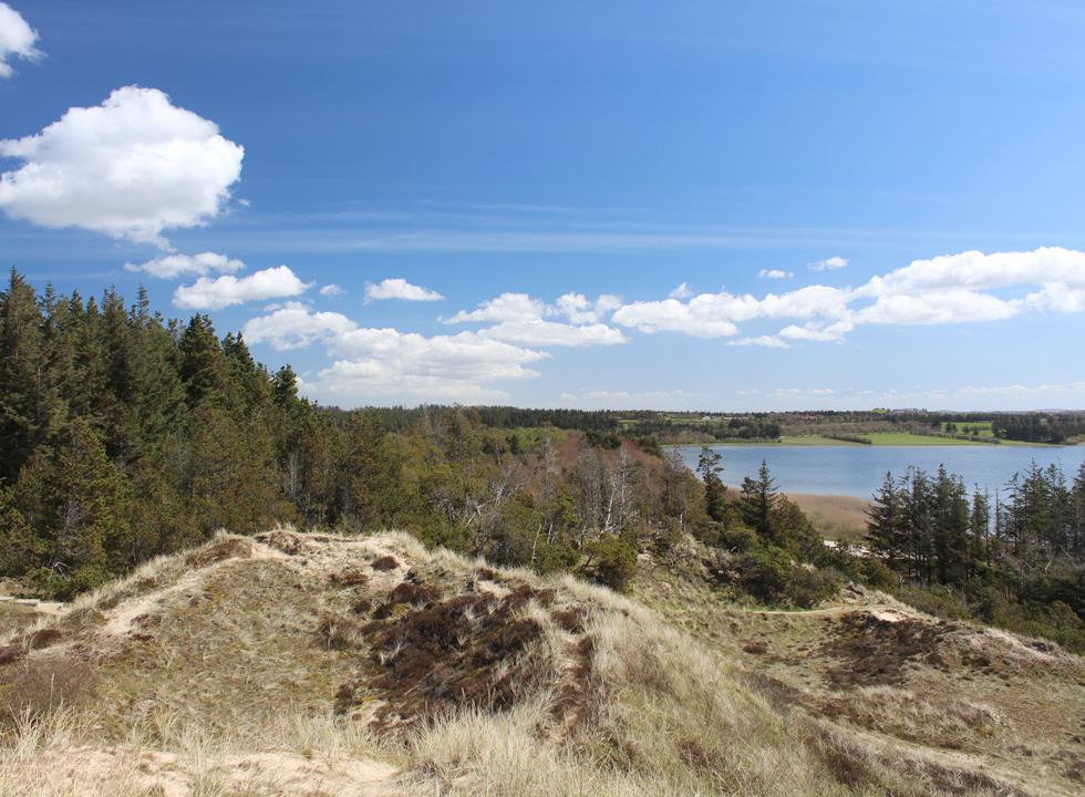 Den smukke og kuperede Nationalpark Thy ligger langs Vesterhavet i den sydelige del af Nordvestjylland @{image.image.text_1.text}.NoHtml()