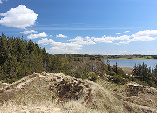 Der schöne und hügelige Nationalpark Thy liegt an der Nordsee im südlichen Teil von Nordwestjütland Der schöne und hügelige Nationalpark Thy liegt an der Nordsee im südlichen Teil von Nordwestjütland