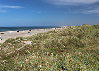 Breiter Sandstrand und hohe Dünen im Badeort Rödhus Breiter Sandstrand und hohe Dünen im Badeort Rödhus