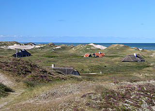 Ferienhäuser in der Dünenlandschaft hinter dem Strand von Gl. Skagen Ferienhäuser in der Dünenlandschaft hinter dem Strand von Gl. Skagen