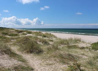 Aussicht über den breiten Sandstrand von der Dünenlandschaft in Tisvildeleje Aussicht über den breiten Sandstrand von der Dünenlandschaft in Tisvildeleje