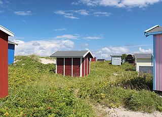 Farbenprächtige Badehäuser in der Dünenlandschaft hinter dem Strand von Tisvildeleje Farbenprächtige Badehäuser in der Dünenlandschaft hinter dem Strand von Tisvildeleje
