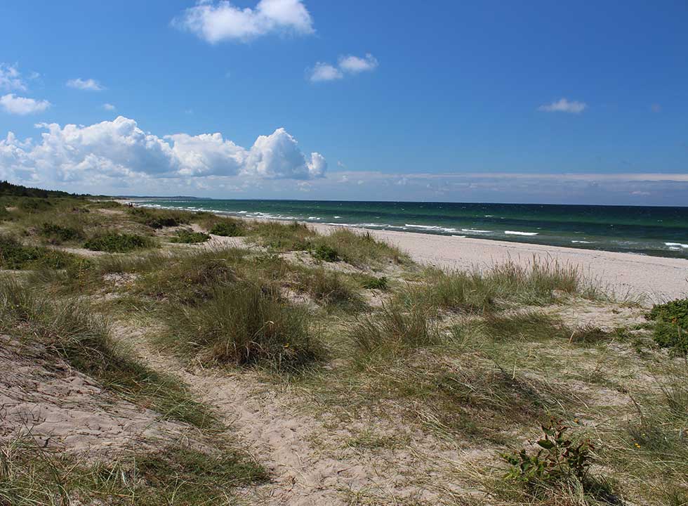 Udsigt over den brede sandstrand fra klitlandskabet i Tisvildeleje Udsigt over den brede sandstrand fra klitlandskabet i Tisvildeleje