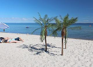 Palmen auf dem schönen Badestrand in Mommark auf der Insel Als Palmen auf dem schönen Badestrand in Mommark auf der Insel Als