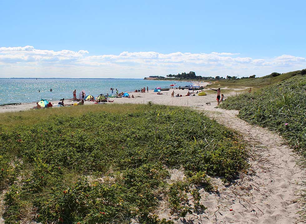 Dejlig og børnevenlig sandstrand i Skovmose på Als Dejlig og børnevenlig sandstrand i Skovmose på Als