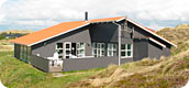 Stort netværk Stort netværk