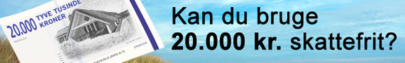 Udlejning der betaler sig
