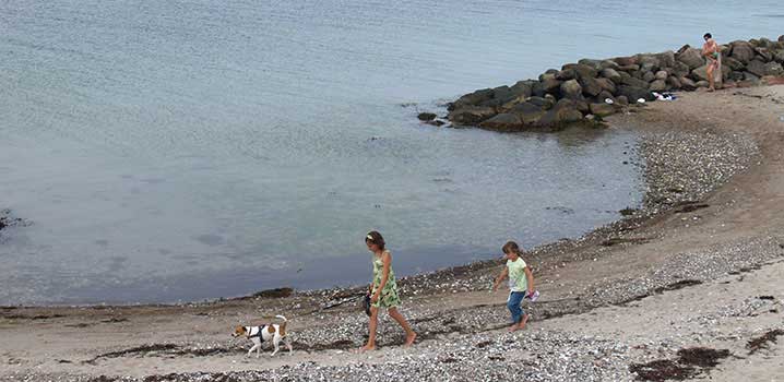 Kinder mit Hund am Strand Kinder gehen mit Hund am Strand spazieren