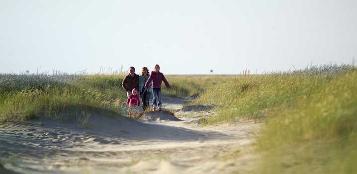 Entdecken Sie Strand, Küste und Dünen zu Fuß. ferienhaus-am-strand-familie-sapziert-durch-duenen