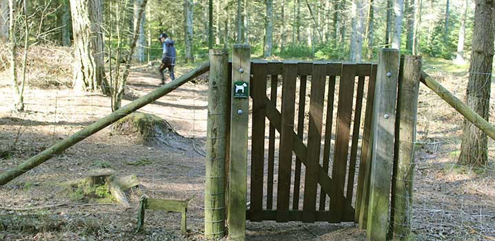 Eingang eines eingezäunten Hundewaldes Hundewald auf Läsö