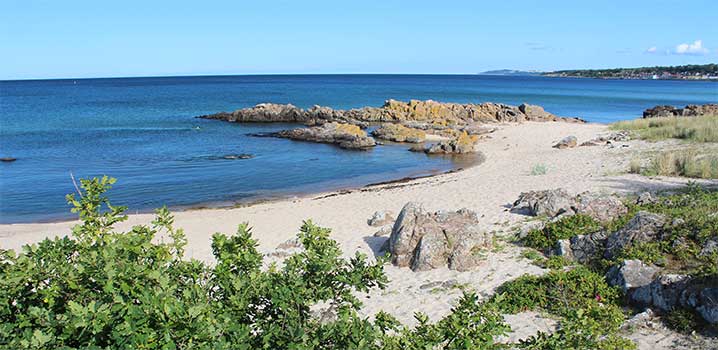 Die malerische Naturlandschaft lädt zu Spaziergängen ein. daenemarks-inseln-kuestenstreifen
